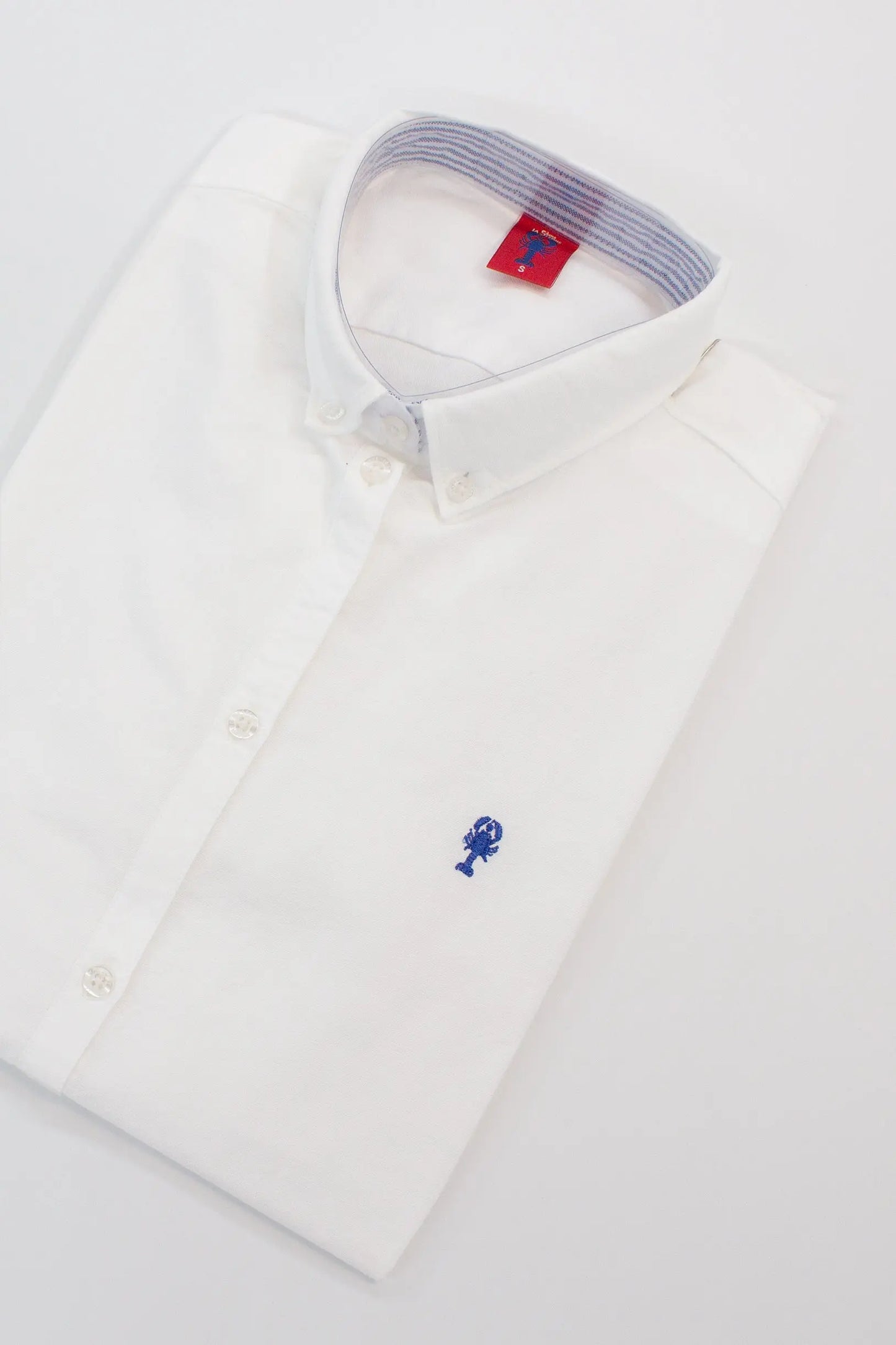 Chemise Oxford « Dominique » Unie La 5ème Femme