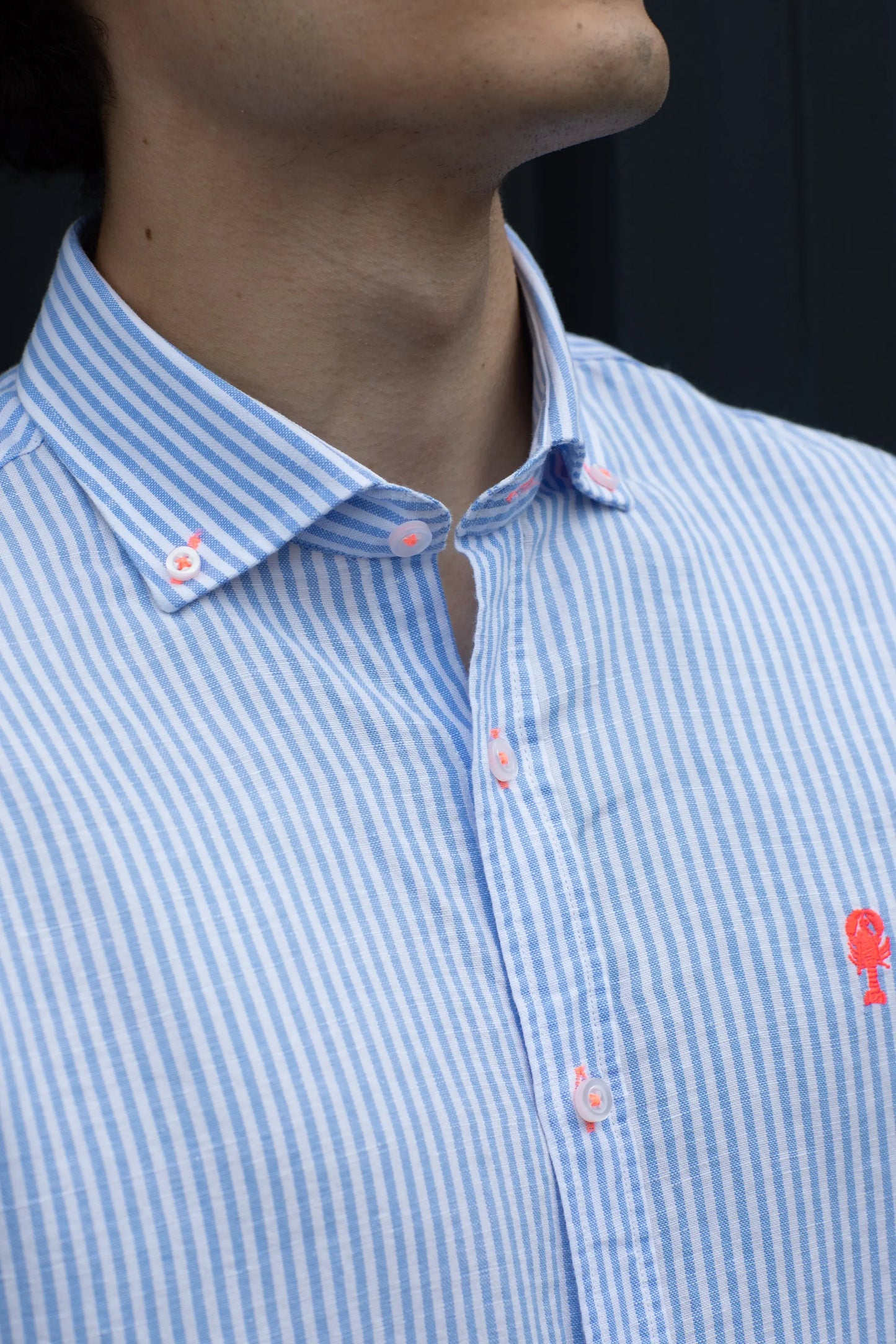 Chemise Rayée en Lin La 5ème Homme