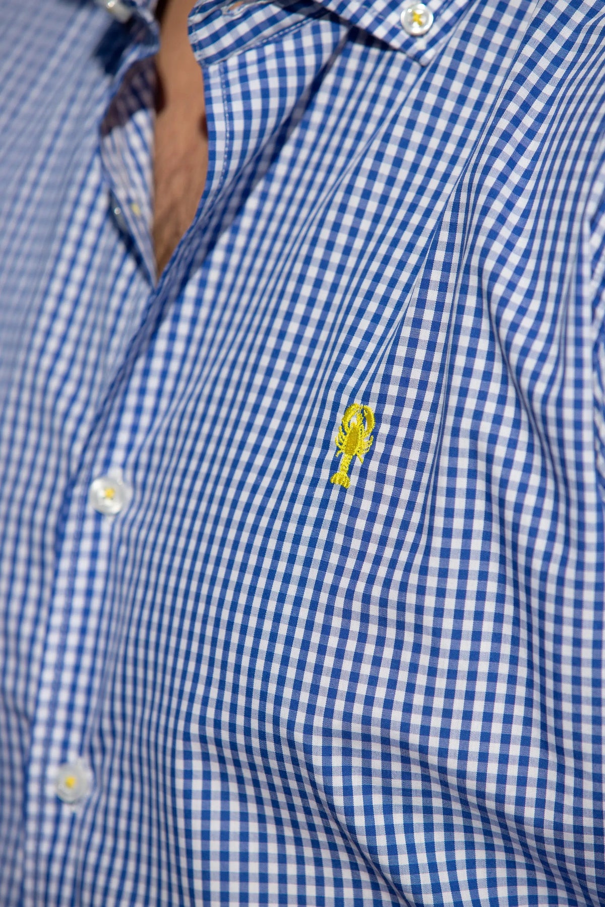 Chemise à carreaux Vichy La 5ème Homme