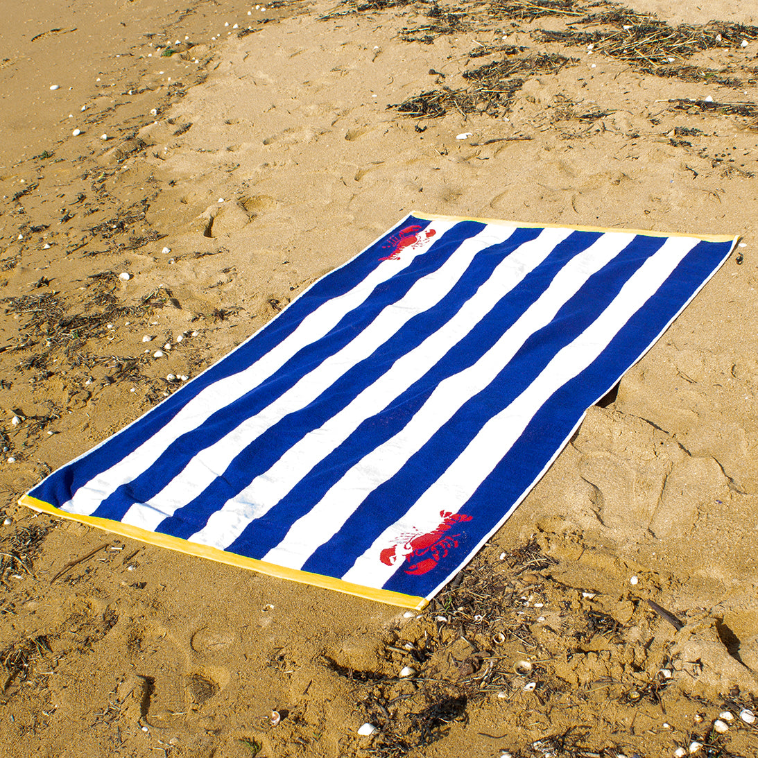 Drap de Plage "Rayée"