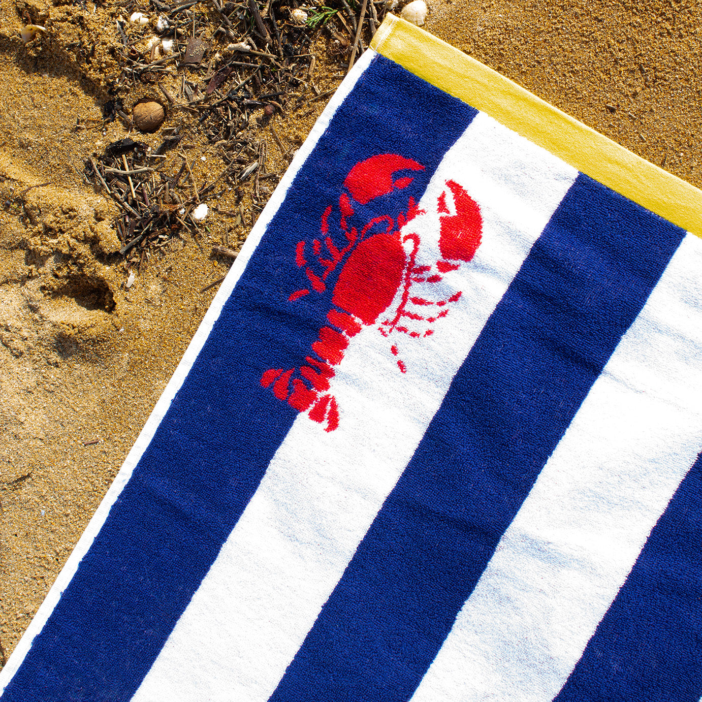 Drap de Plage "Rayée"