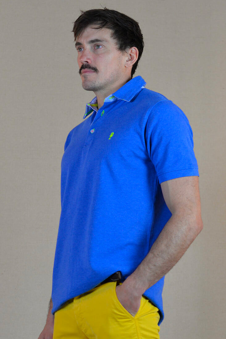 Polo « Irlande »