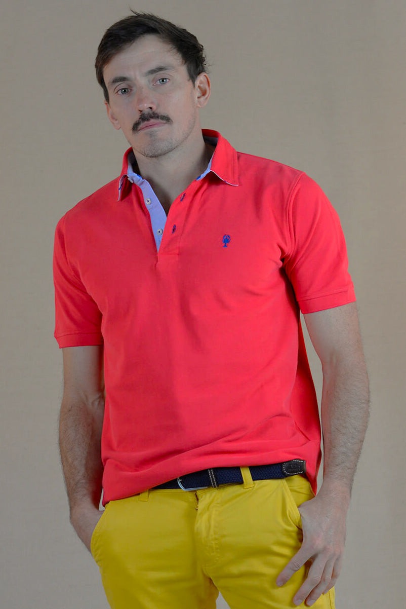 Polo « Irlande »