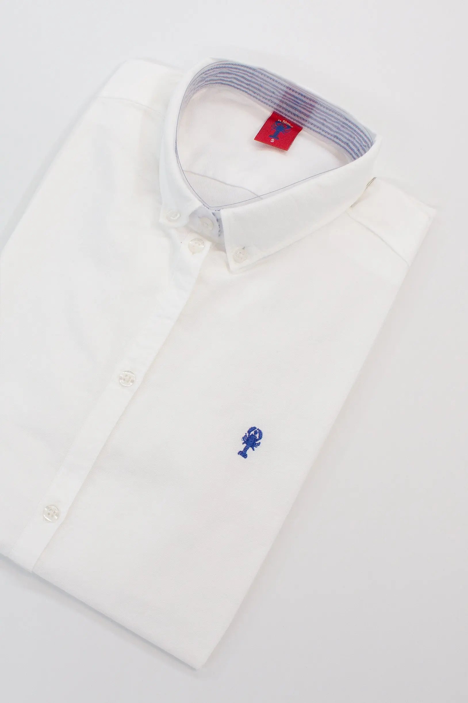 Chemise Oxford « Dominique » Unie La 5ème Femme 