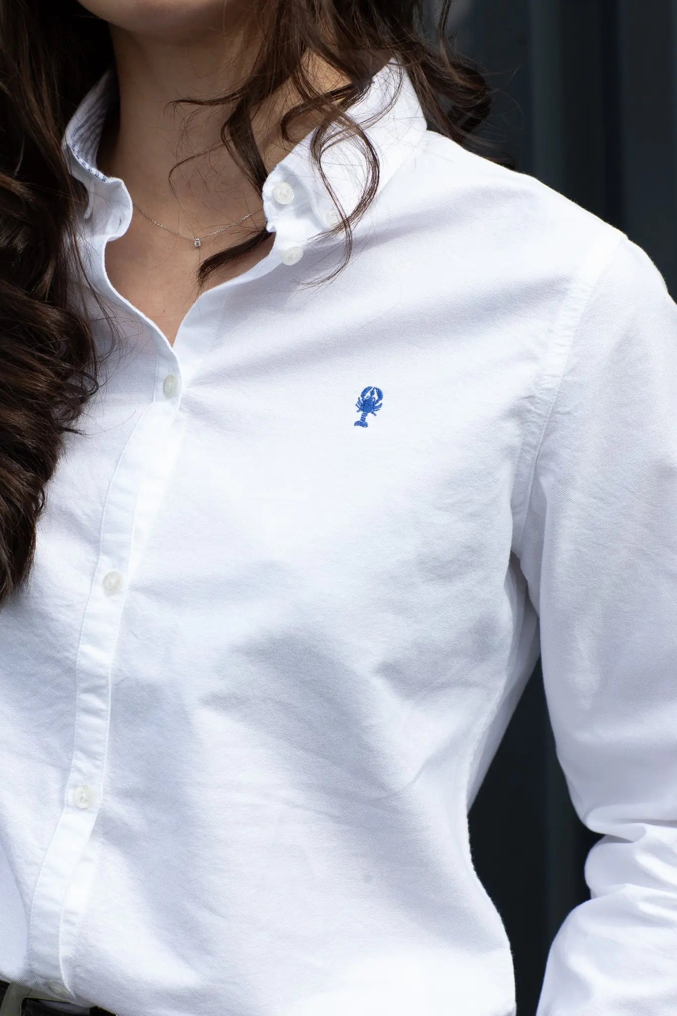 Chemise Oxford « Dominique » Unie La 5ème Femme 
