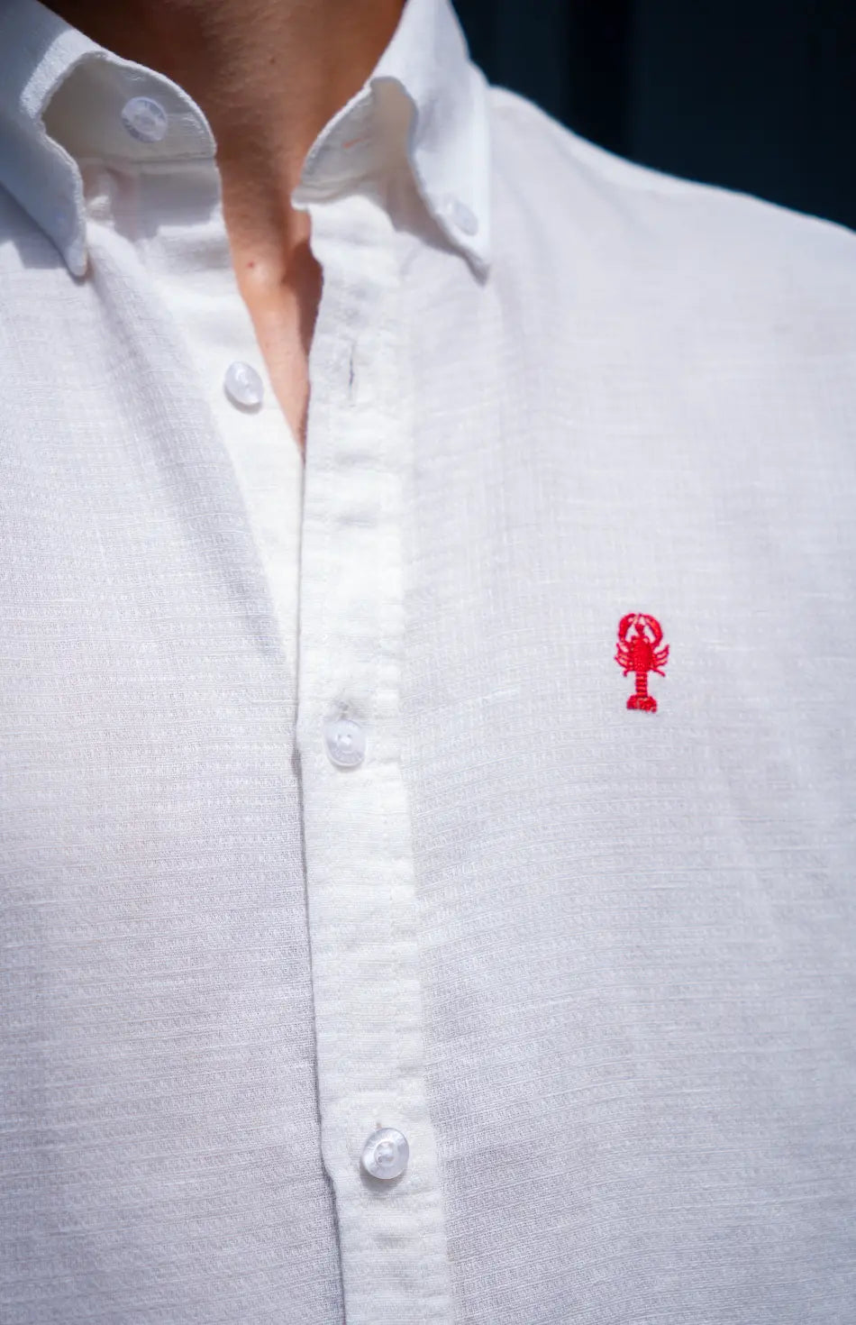 Chemise "Frehel" La 5ème Homme 