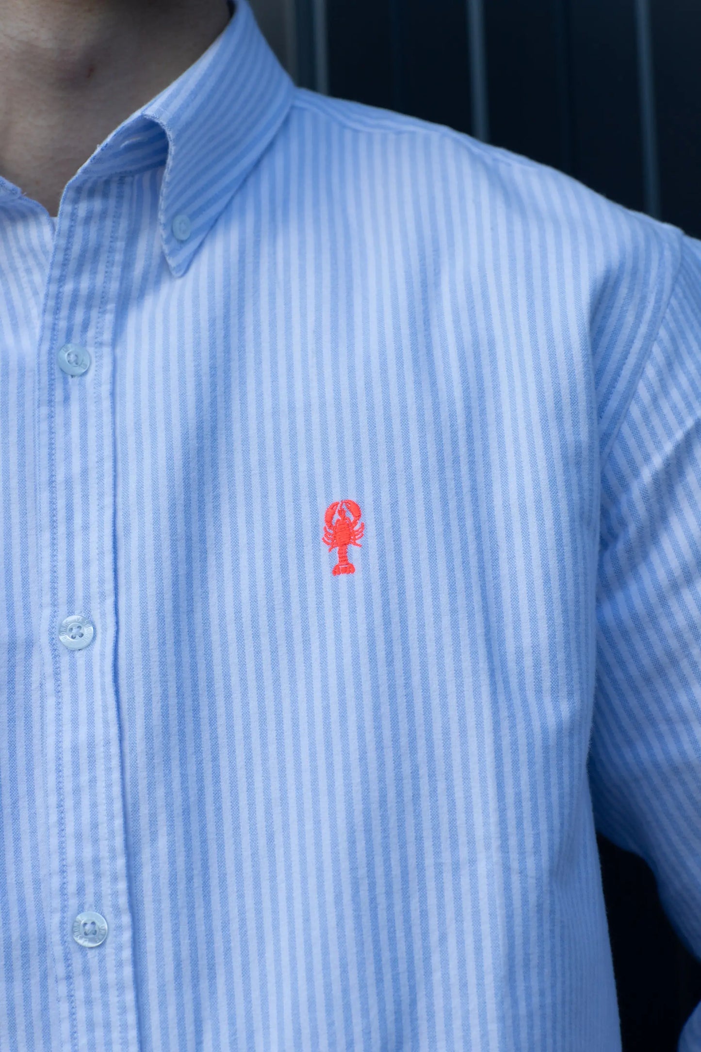 Chemise en Coton Brossé « Cabourg » La 5ème Homme 