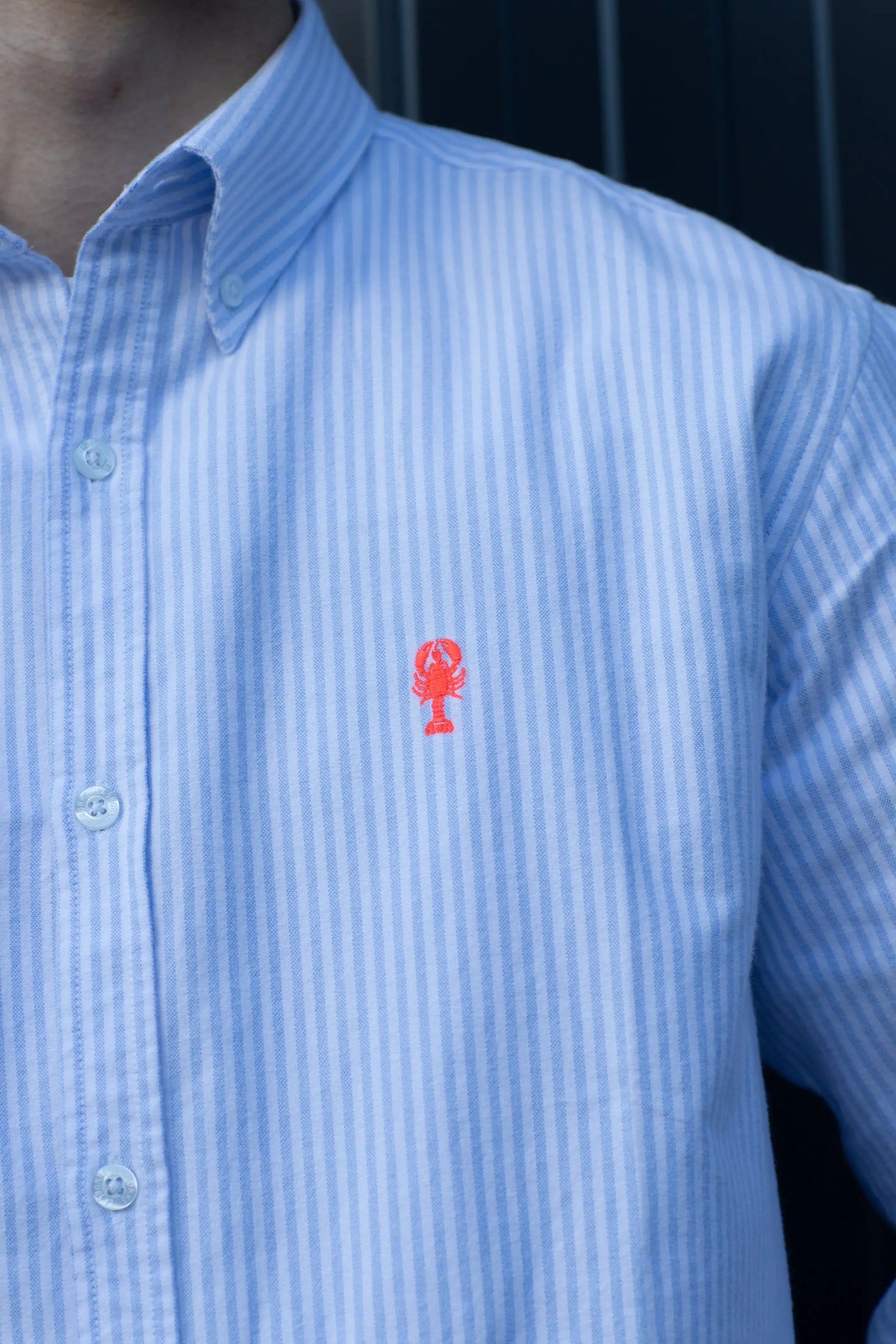 Chemise en Coton Brossé « Cabourg » La 5ème Homme 