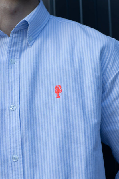 Chemise en Coton Brossé « Cabourg » La 5ème Homme 