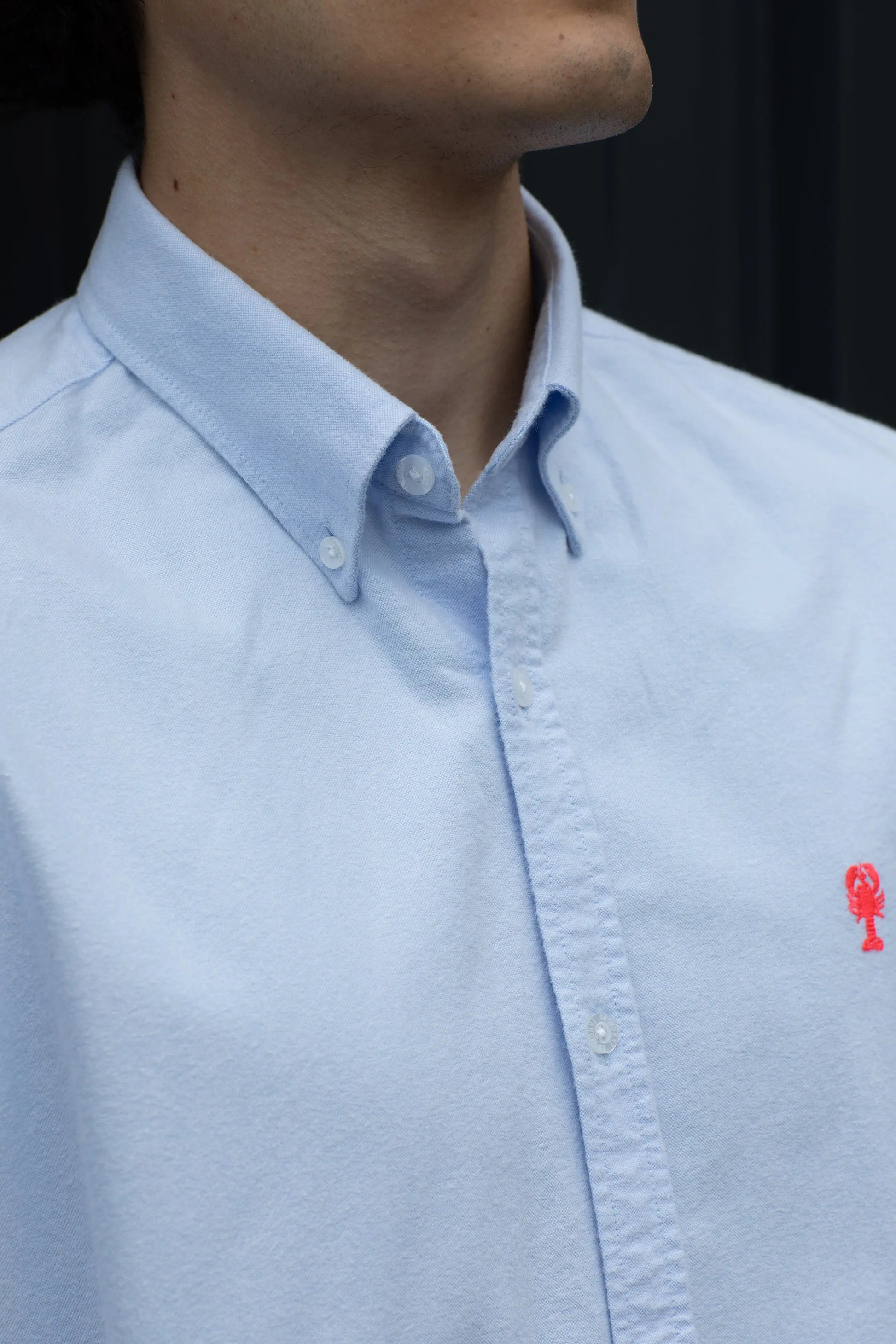 Chemise en Coton Brossé « Cabourg » La 5ème Homme 