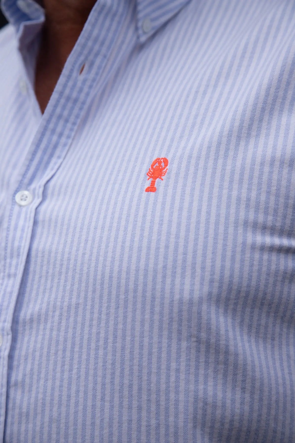 Chemise en Coton Brossé « Cabourg » La 5ème Homme 
