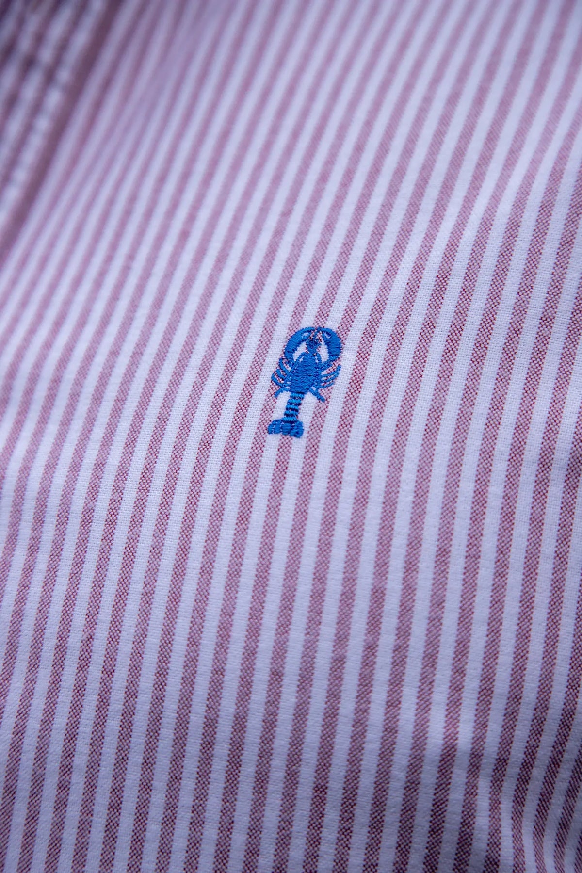 Chemise en Coton Brossé « Cabourg » La 5ème Homme 
