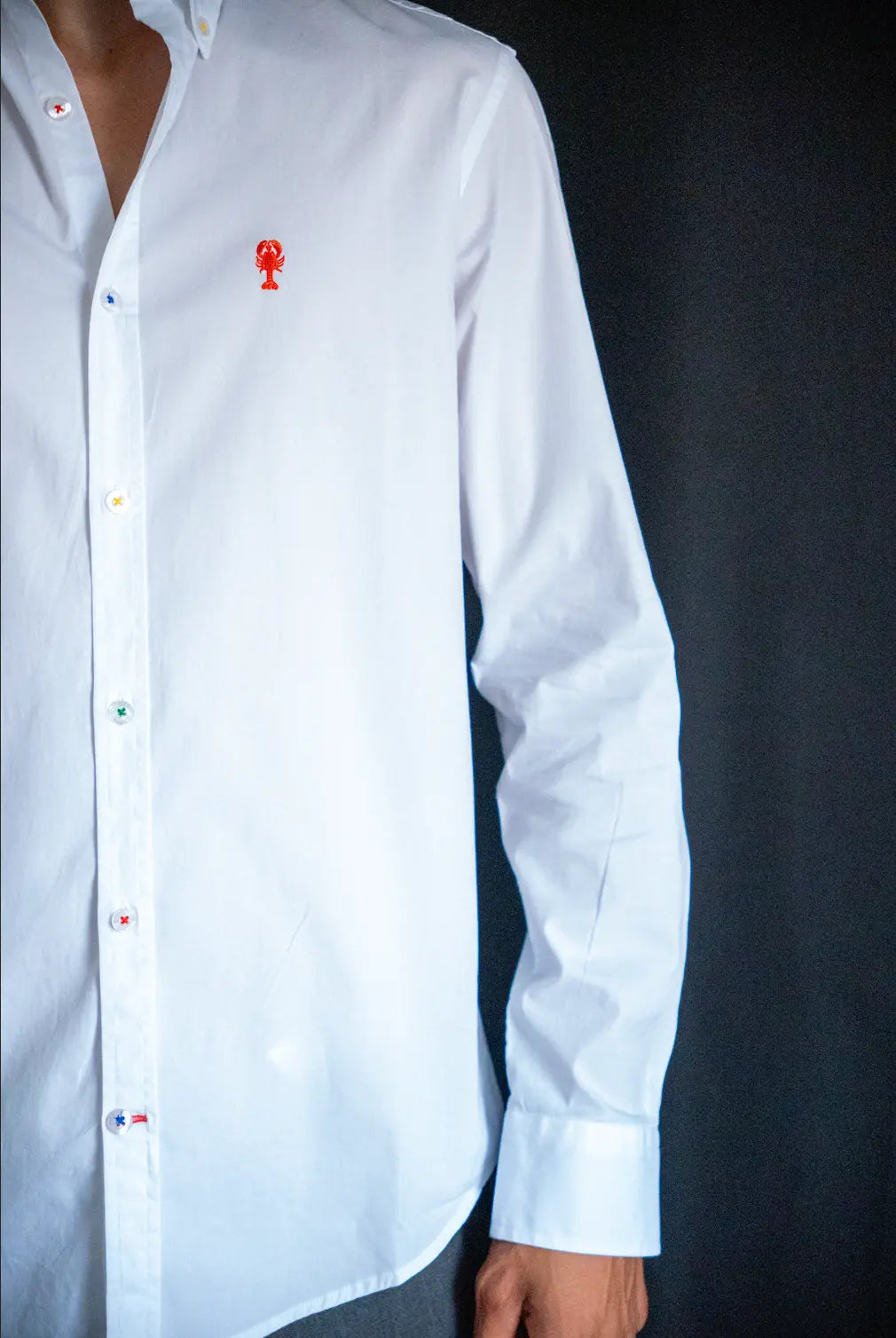 Chemise en coton "Pol" La 5ème Homme 