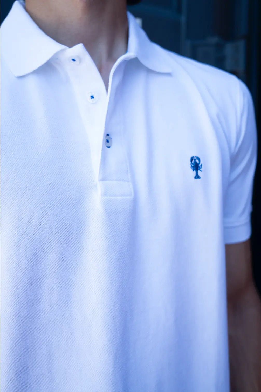 Polo Coton « Suisse » La 5ème Homme 