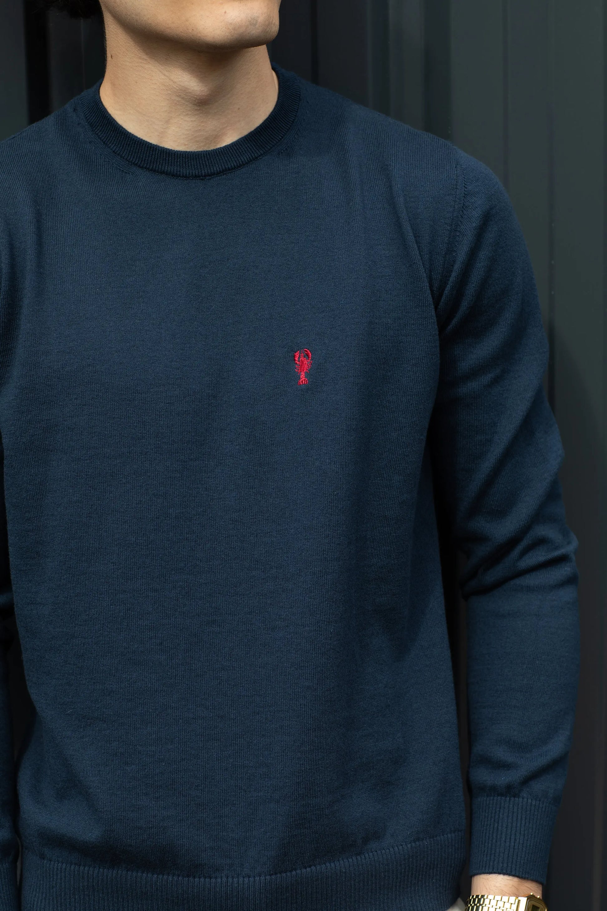 Pull Col Rond « Manu » La 5ème Homme 