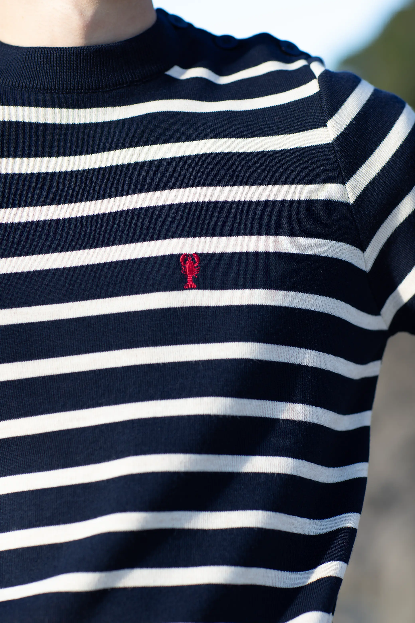 Pull Marin Rayé « Hubert » La 5ème Homme 