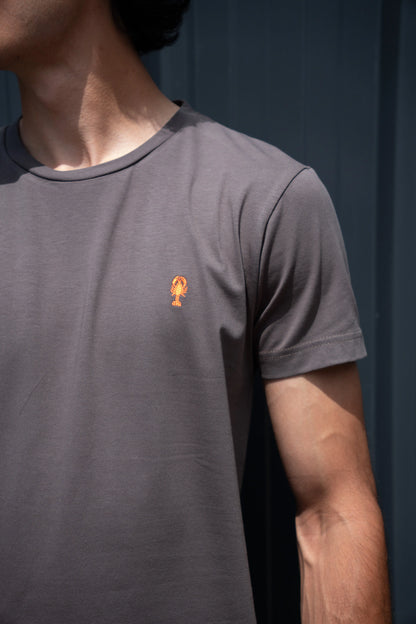 T-shirt Coton Jersey La 5ème Homme 